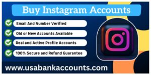 Buy Instagram Accounts